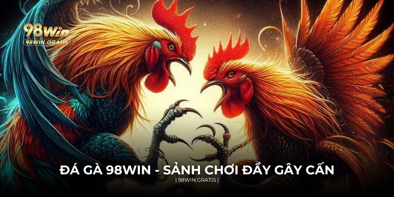 Khám phá sảnh Đá gà 98WIN