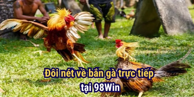 Đôi nét về bắn gà trực tiếp tại 98Win